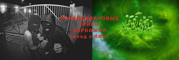 ECSTASY Богданович