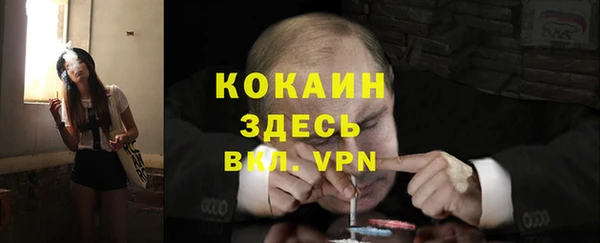 ECSTASY Богданович