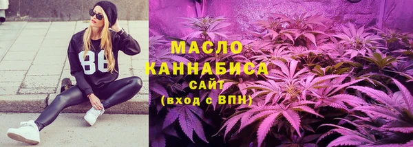 ECSTASY Богданович
