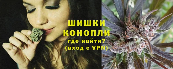 ECSTASY Богданович