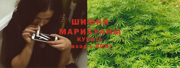 ECSTASY Богданович