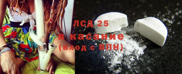 ECSTASY Богданович