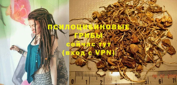 экстази Богородск